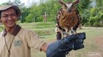 Foto: Keseruan Melihat Aneka Burung Aviary Park Tangsel