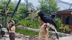 Foto: Keseruan Melihat Aneka Burung Aviary Park Tangsel