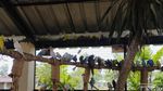 Tangsel Punya Taman Burung Baru Nih, Bisa Dijangkau dengan KRL