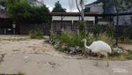 Tangsel Punya Taman Burung Baru Nih, Bisa Dijangkau dengan KRL