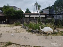 Tangsel Punya Taman Burung Baru Nih, Bisa Dijangkau dengan KRL
