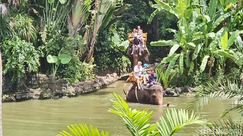 Wisatawan menunggangi gajah di Bali Zoo, Selasa (17/12/2024).