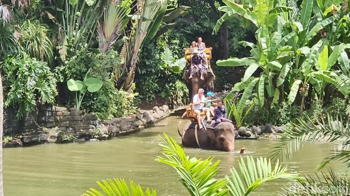 Wisatawan menunggangi gajah di Bali Zoo, Selasa (17/12/2024).