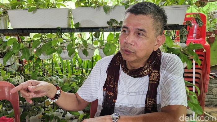Anggota Komisi III DPR RI Hinca Pandjaitan. (Nizar Aldi/detikSumut)