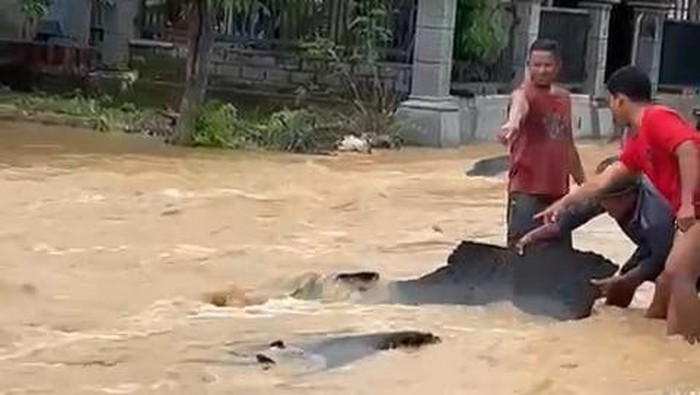 Aspal jalan kabupaten di Tuban mengelupas usai kebanjiran padahal baru beres diaspal sehari.