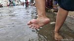 Potret Nelangsa Warga Dilanda Banjir Rob di Jakarta Utara