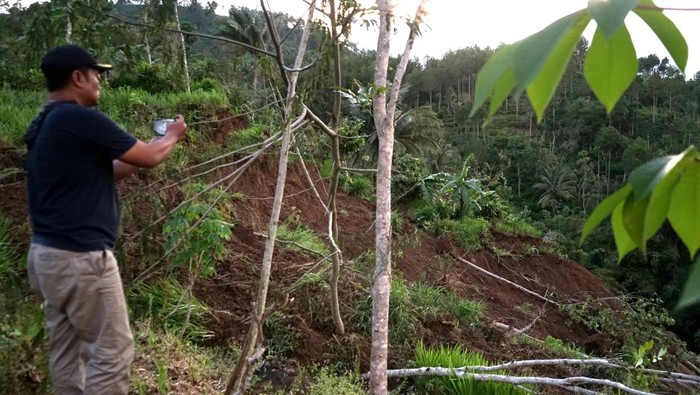 Bencana tanah gerak di Trenggalek Penampakan longsor di area terdampak bencana tanah gerak di Desa Ngrandu, Trenggalek, Jawa Timur, Rabu (18/12/2024). Warga satu RT yang terdiri dari 43 KK dan 119 jiwa terpaksa diungsikan ke tempat aman akibat bencana tanah gerak yang memicu serangkaian longsor di sejumlah titik yang mengancam keselamatan. ANTARA FOTO/Destyan Sujarwoko/rwa.