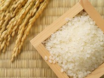 8 Kriteria Beras Premium yang Sempat Disebut Kena PPN 12%