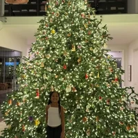 Ada yang lebih spektakuler dari pohon Natal raksasa di rumah Khloe Kardashian. Kali ini adik tiri Khloe, Kylie Jenner memajang pohon Natal yang tingginya menjulang hingga lantai dua rumahnya dan setiap inci dipenuhi lampu serta ornamen meriah seperti pelangi hingga dinosaurus. Foto: Instagram