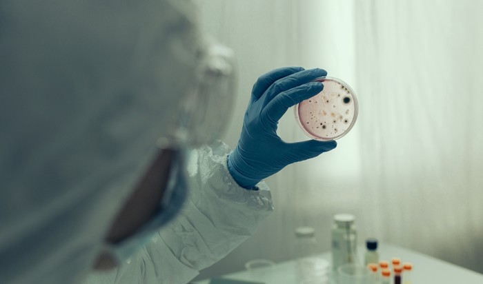 Unrecognizable scientist examining virus in petri dish in a laboratory