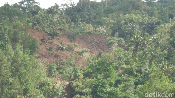 Kampung warga Trenggalek yang hancur karena tanah gerak dan pengungsian korban tanah gerak di Trenggalek.