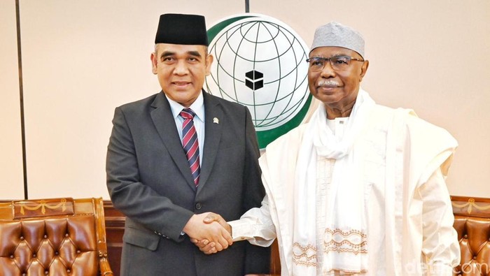 Ketua MPR RI Ahmad Muzani bertemu Sekjen OKI Hissein Brahim Taha. (dok. istimewa).