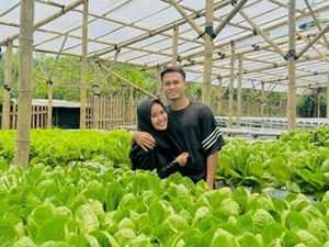 Cerita Inspiratif Koko Ari Pesepakbola Sekaligus Petani Hidroponik