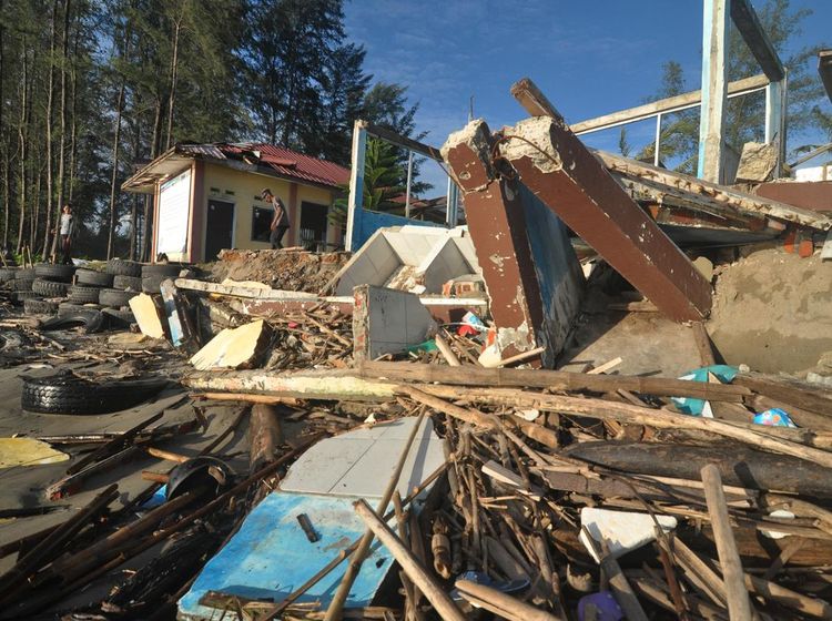 Konservasi Penyu Rusak Akibat Abrasi Pantai di Bengkulu