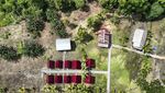 Menjaga Hutan Sumber Kehidupan Suku Moi