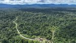 Menjaga Hutan Sumber Kehidupan Suku Moi