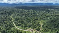 Pengakuan tersebut menjadi angin segar bagi warga yang menghuni kampung seluas 1.750 hektar itu dalam mempertahankan hutan. Mereka kini berhak penuh dalam mengelola kawasan hutan kampung.