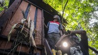 Perubahan Kampung Malasigi menjadi ekowisata unggulan di Kabupaten Sorong menyimpan sebuah kisah menarik. Bermula dari seorang warga asli suku Moi Kampung Malasigi bernama Riki Ricardo Fami belajar dari Absolom Dominggus Kalami yang sudah lebih dulu membuat kampung ekowisata di Kampung Wisata Malagufuk, Distrik Makbon, Kabupaten Sorong, Papua Barat Daya.