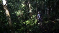 Proses pembelajaran ini yang menjadi bekal untuk meyakinkan masyarakat kampungnya bisa mengandalkan ekowisata sebagai pengahasilan utamanya dengan cara menjaga hutan sebagaimana yang selalu diajarkan oleh para leluhurnya.
