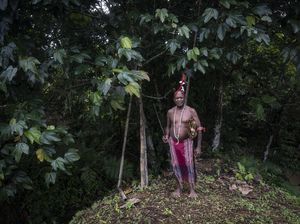 Menjaga Hutan Sumber Kehidupan Suku Moi