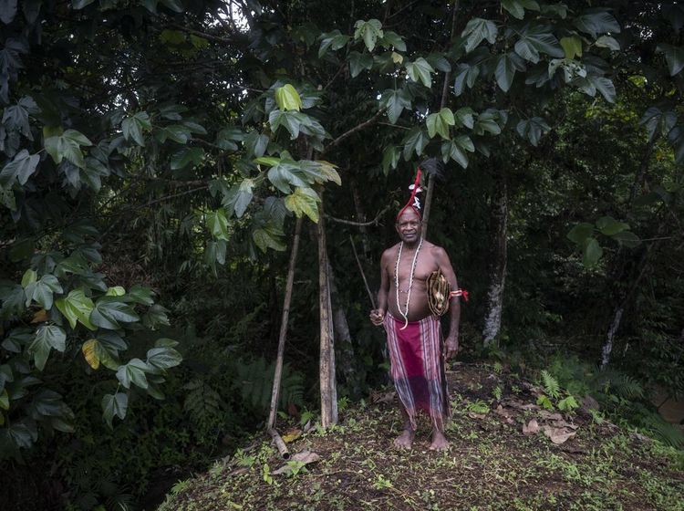 Menjaga Hutan Sumber Kehidupan Suku Moi
