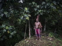 Menjaga Hutan Sumber Kehidupan Suku Moi