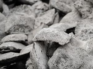 Nickel Pig Iron Tak Diekspor Lewat DSI? Ini Kata Airlangga