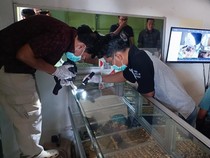 Rampok Satroni Toko Emas Banyumas di Siang Bolong, Gondol Perhiasan 279 Gram