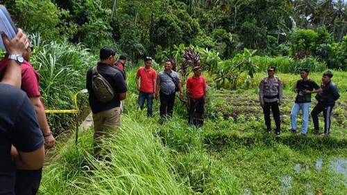 Penemuan tulang dan tengkorak manusia di subak di Gianyar, Kamis (19/12/2024).