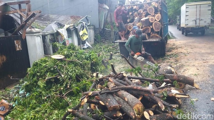 Pohon tumbang di Jalan Inspeksi PAM, Antang, Makassar.