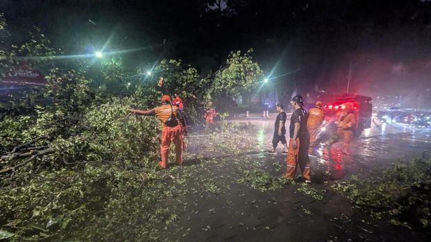 Pohon tumbang di Taman Suropati (Rahmat Harman Pulungan/warga)