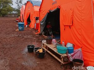 Tenda-tenda Pengungsi Erupsi Lewotobi Diserang Lalat dan Nyamuk