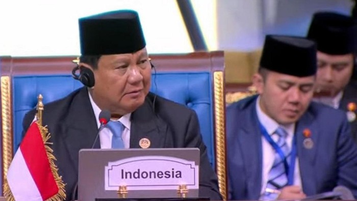 Presiden Prabowo Subianto di KTT D-8 (dok. Biro Setpres)