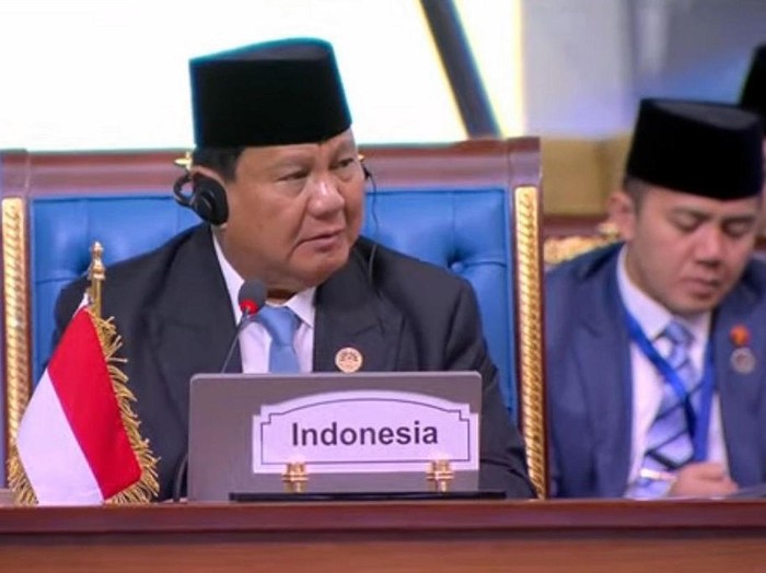 Presiden Prabowo Subianto di KTT D-8 (dok. Biro Setpres)