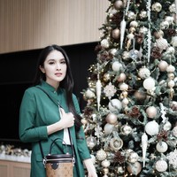 Natal 2024 agaknya sedikit berbeda bagi Sandra Dewi. Biasa pamer dekorasi pohon Natal mewah, tahun ini ia tak lagi pamer kemewahan setelah sang suami, Harvey Moeis mendekam di tahanan usai terjerat kasus korupsi timah senilai ratusan triliun Rupiah. Foto: dok. Instagram @sandradewi88 (pohon Natal Sandra Dewi 2018).