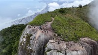 Setelah perjalanan panjang akhirnya Ezequiel da Luz dan team berhasil mencapai puncak Pedra da Gavea.