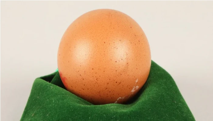 telur bulat sempurna seharga Rp 4,1 juta