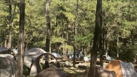 suasana kesunyian area camping