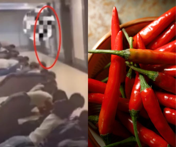 Aneh! Pegawai di Perusahaan Ini Harus Makan Cabai Jika Lakukan Kesalahan