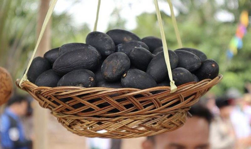 Buah Unik Khas Pulau Kalimantan