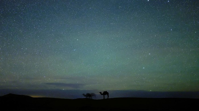 Camels stand on a dune at the Erg Chebbi sand dunes in the Sahara desert under the night sky outside Merzouga, Morocco December 8, 2024. REUTERS/Darrin Zammit Lupi REFILE-QUALITY REPEAT