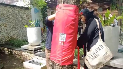 Karya ‘I am a Tree’