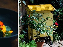 Keren! Salah Satu Resto Terbaik di Dunia Ini Pegawainya Hanya Satu