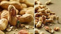 Wah! Ternyata membongkar sebutir kacang tanah menjadi pekerjaan yang menyulitkan dalam dunia miniatur imajinatif ini. Foto: Bored Panda
