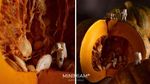 Kreatif! 10 Potret Miniatur Ini Menggunakan Latar Makanan