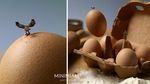 Kreatif! 10 Potret Miniatur Ini Menggunakan Latar Makanan