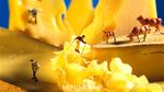 Kreatif! 10 Potret Miniatur Ini Menggunakan Latar Makanan