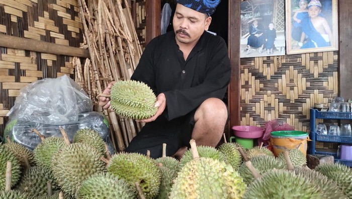 Musim durian telah tiba di kawasan masyarakat adat Baduy, Lebak, Banten. (Foto: Fathul Rizkoh/detikcom)