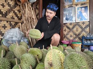 Musim Durian Tiba, Baduy Dibanjiri Wisatawan