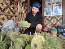 Desember Berkah, Warga Baduy Mulai Kebanjiran Pesanan Durian Nih